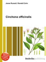 Cinchona officinalis