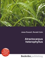 Atractocarpus heterophyllus