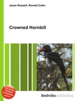 Crowned Hornbill