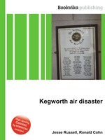 Kegworth air disaster