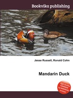 Mandarin Duck