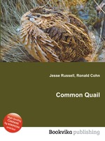 Common Quail