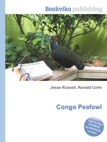 Congo Peafowl