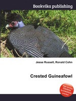 Crested Guineafowl