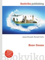 Bean Goose