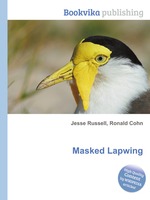 Masked Lapwing