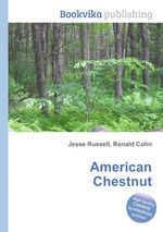 American Chestnut