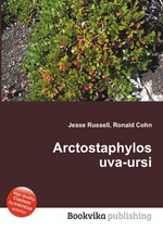 Arctostaphylos uva-ursi