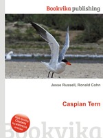 Caspian Tern