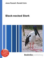 Black-necked Stork