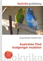 Australian Pied budgerigar mutation