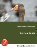 Greylag Goose