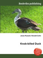 Knob-billed Duck