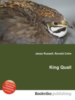 King Quail