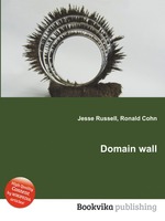 Domain wall