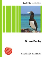 Brown Booby