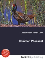 Common Pheasant