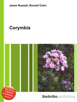 Corymbia