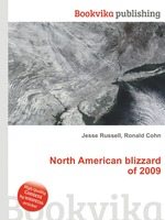 North American blizzard of 2009