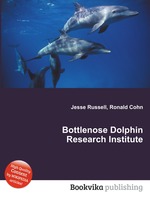 Bottlenose Dolphin Research Institute