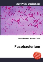 Fusobacterium