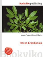 Hevea brasiliensis