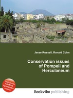 Conservation issues of Pompeii and Herculaneum