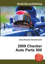 2009 Checker Auto Parts 500