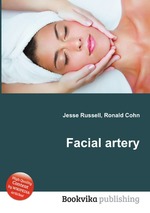 Facial artery