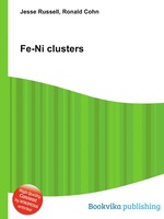 Fe-Ni clusters