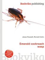 Emerald cockroach wasp