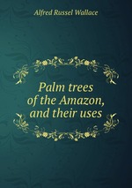 Palm trees of the Amazon, and their uses
