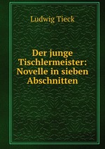 Der junge Tischlermeister: Novelle in sieben Abschnitten