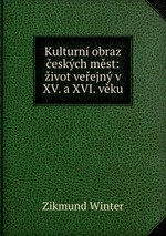 Kulturn obraz eskch mst: ivot veejn v XV. a XVI. vku