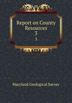 Report on County Resources. 3