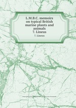 L.M.B.C. memoirs on typical British marine plants and animals. 7. Lineus