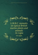 L.M.B.C. memoirs on typical British marine plants and animals. 14. Ligia