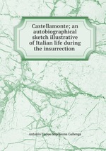 Castellamonte; an autobiographical sketch illustrative of Italian life during the insurrection