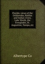 Florida; views of the Ocklawaha, Halifax and Indian rivers, Lake Worth, the Everglades, St. Augustine, Tampa, etc