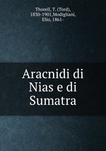 Aracnidi di Nias e di Sumatra