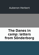 The Danes in camp: letters from Snderborg