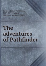 The adventures of Pathfinder