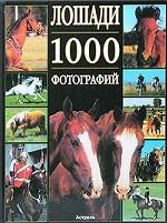 Лошади. 1000 фотографий