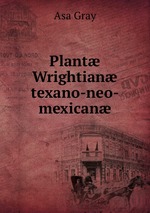 Plant Wrightian texano-neo-mexican