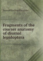 Fragments of the coarser anatomy of diurnal lepidoptera