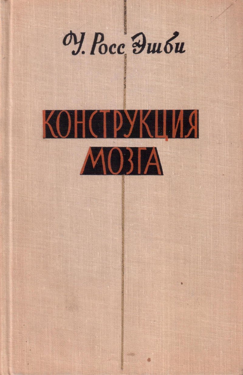 Конструкция мозга