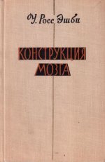 Конструкция мозга