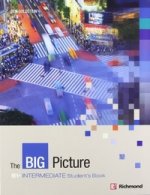 The Big Picture Int SB