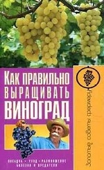 Как правильно выращивать виноград