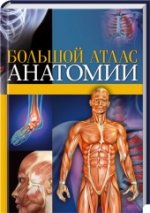 Большой атлас анатомии / Шулер М